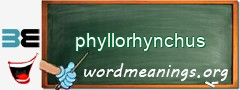 WordMeaning blackboard for phyllorhynchus